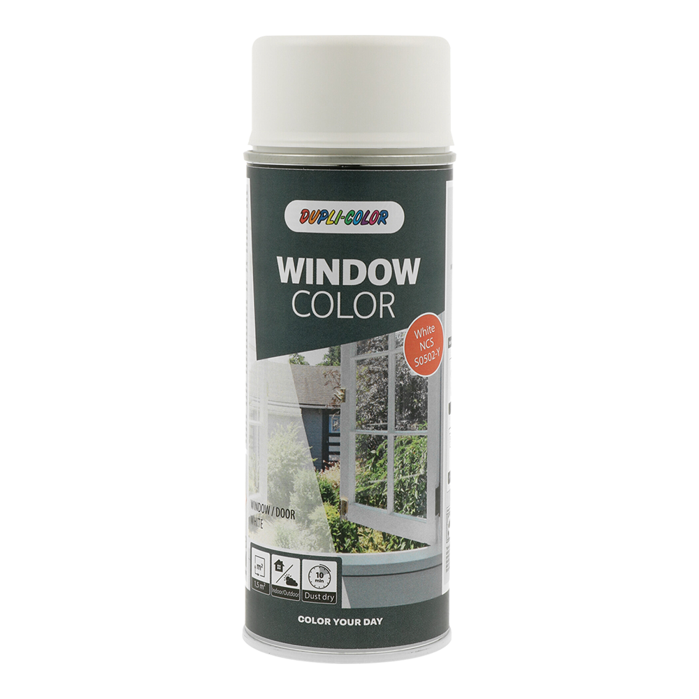 Dupli-Color Door and Window White 