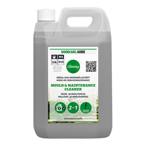 WG-Mould-and-maintenance-wash-cleaner-Home-ja huoltopesu